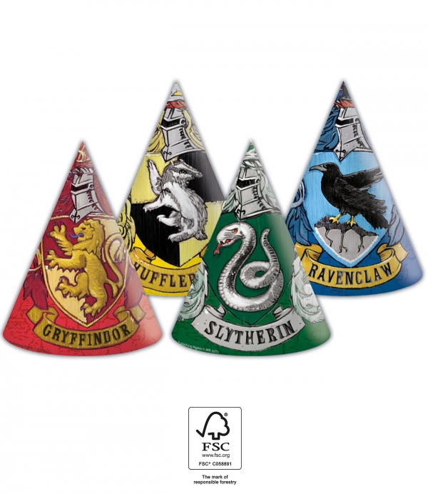 Chapéus Harry Potter