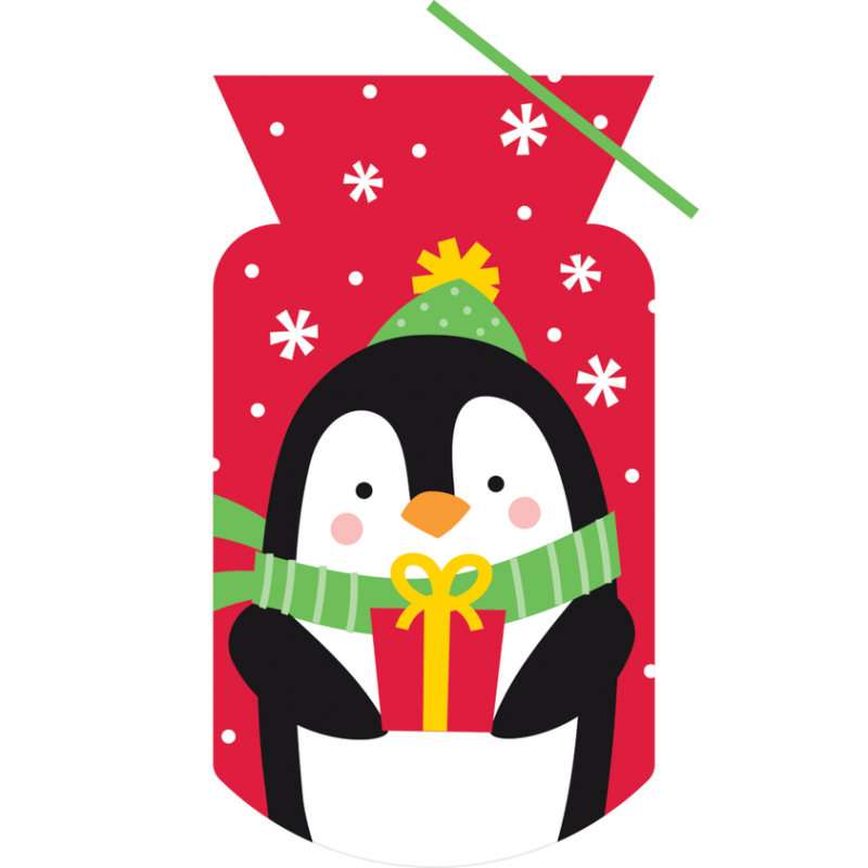 Sacos com Fecho Pinguim