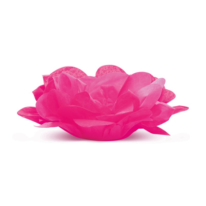 40 Forminhas para Doces Roses sem Folhas Pink
