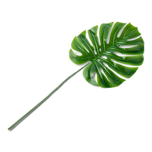Folha Tropical Verde Folha Tropical Verde