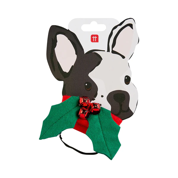 Colar Azevinho para Cão