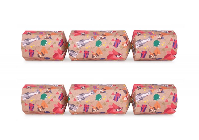Unidade Cracker para Cão