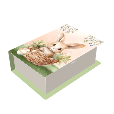 Caixa Degustação Livro 2x50g - Coelhinho Encantado - 5 unidades