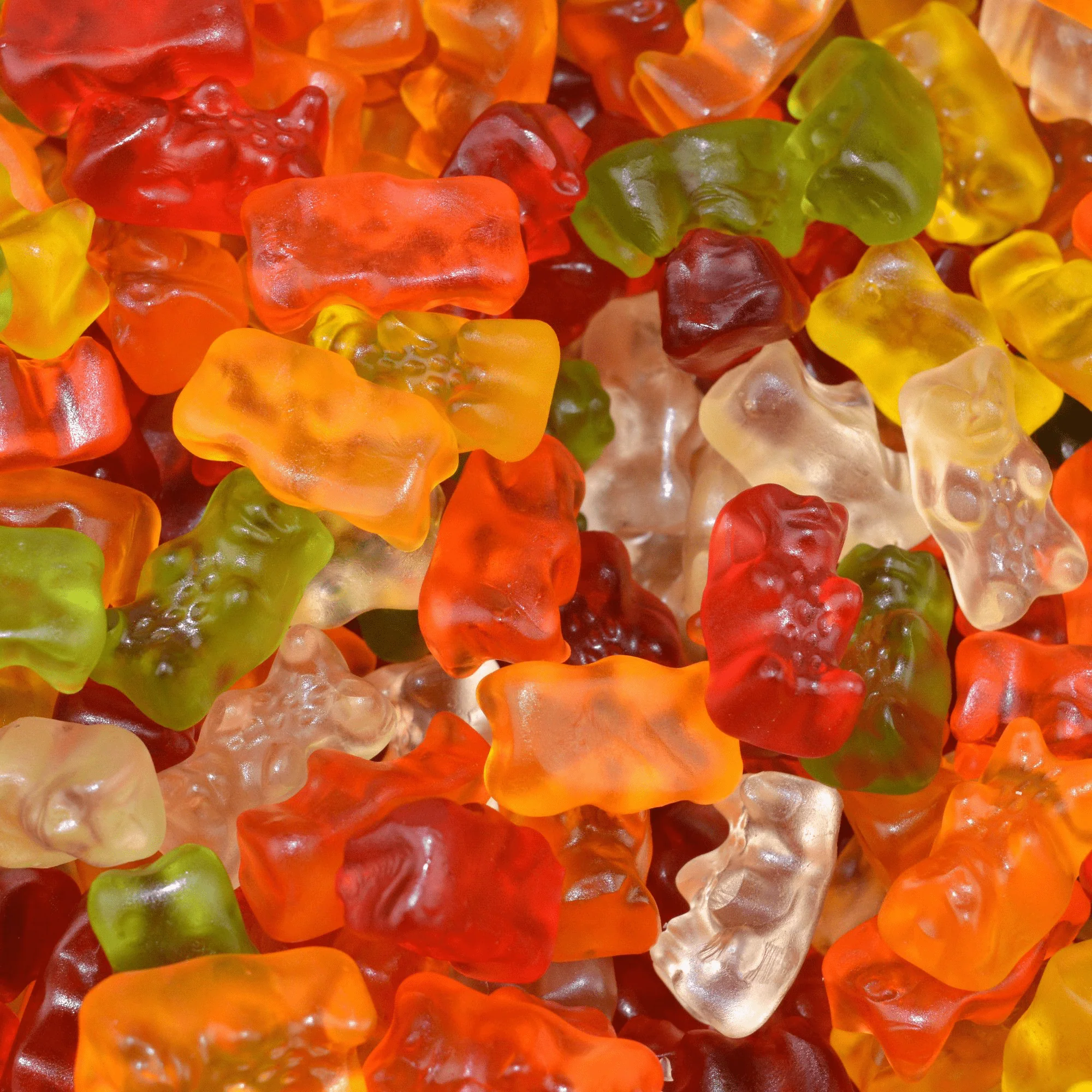 Gomas Haribo 1Kg Ursinhos
