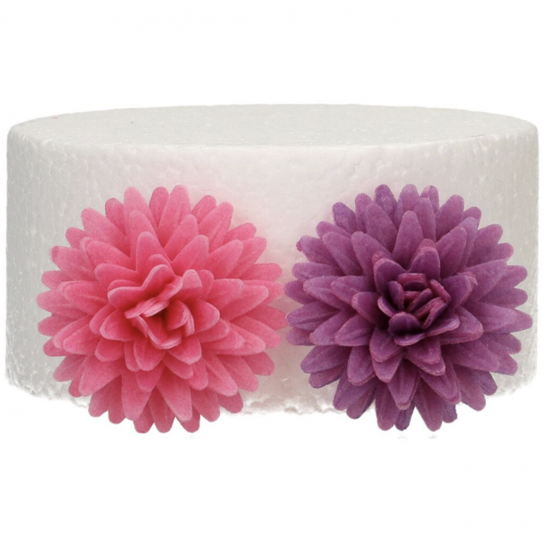 12 Flores Pompom Branco, Rosa e Roxo 12 Flores Pompom Branco, Rosa e Roxo