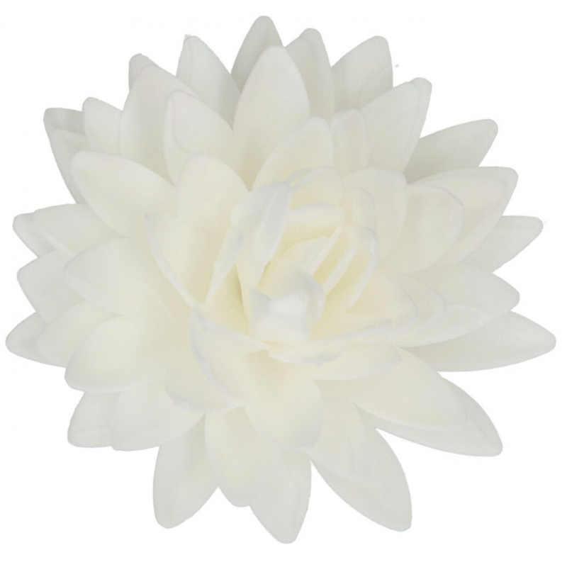 Flor Comestível Peónia Branca