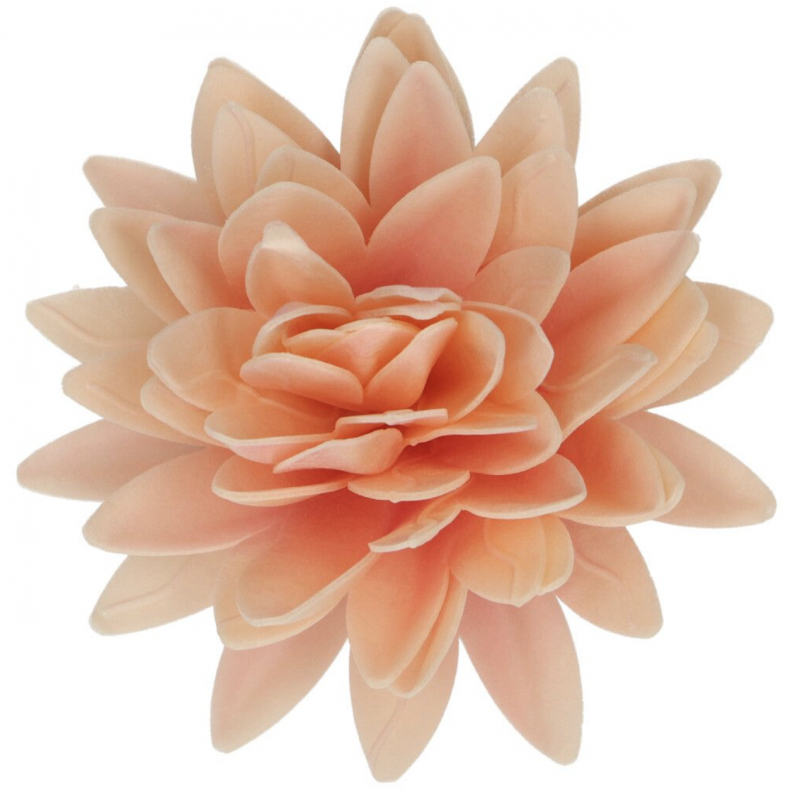 Flor Comestível Peónia Laranja