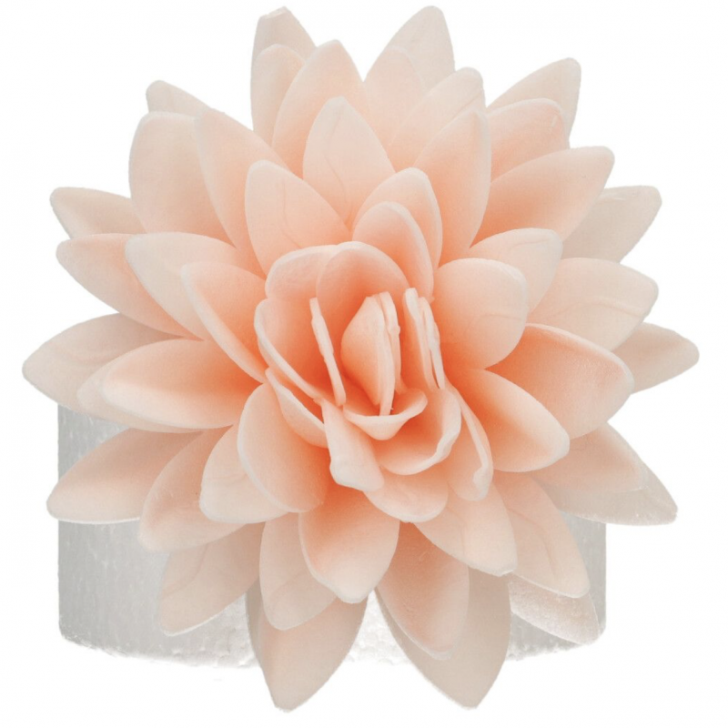 Flor Comestível Peónia Laranja Ombre