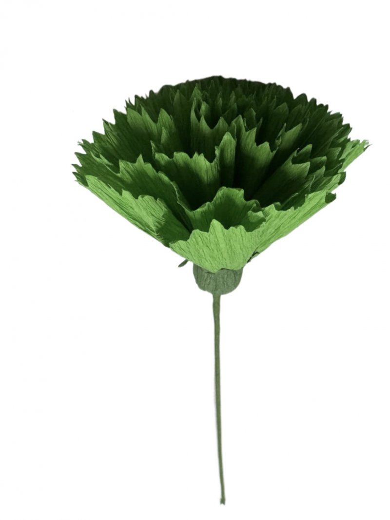 6 Cravos de Papel Sortidos 6 Cravos de Papel Sortidos