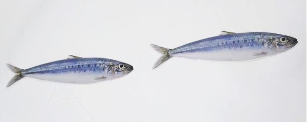 Grinalda Sardinhas