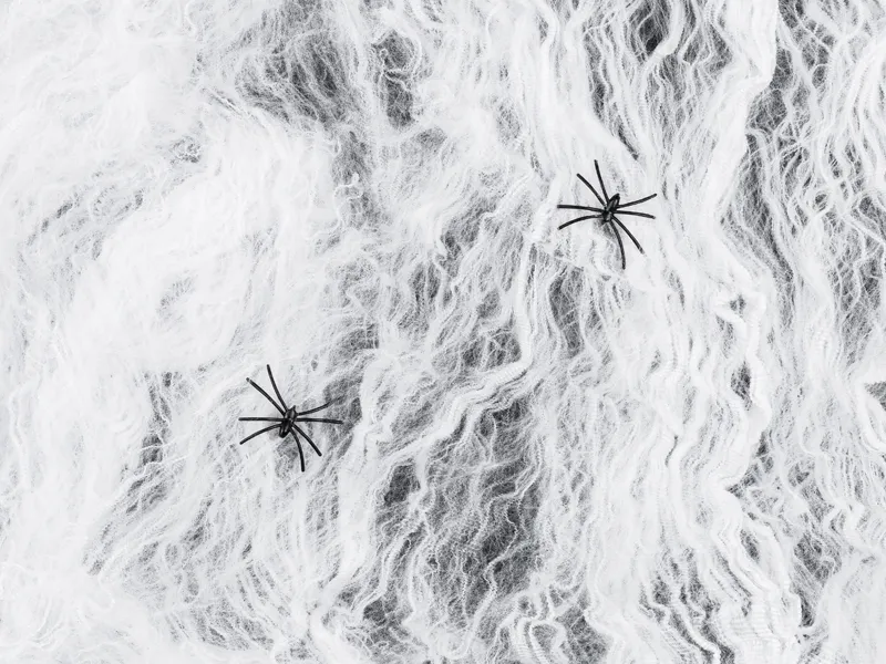 Teia de Aranha Branca 200g
