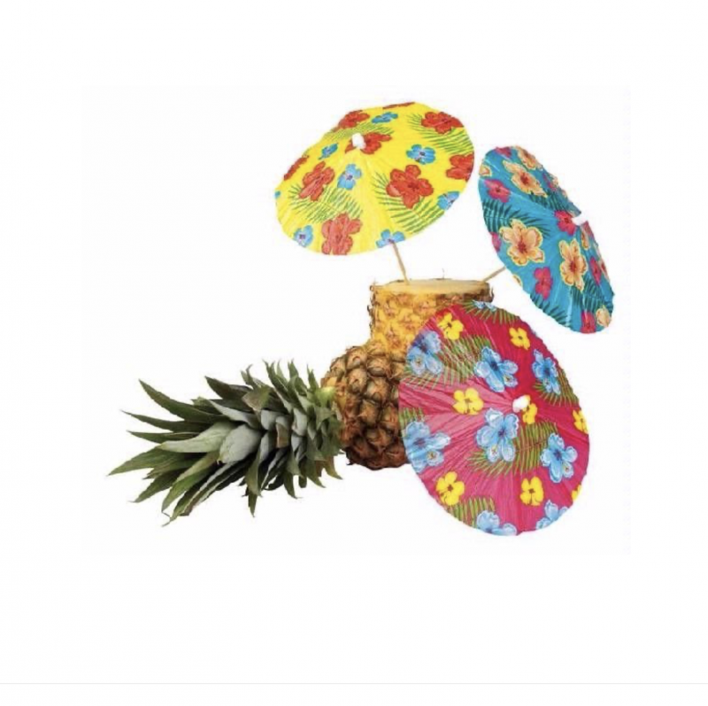6 Sombrinhas Hibiscus