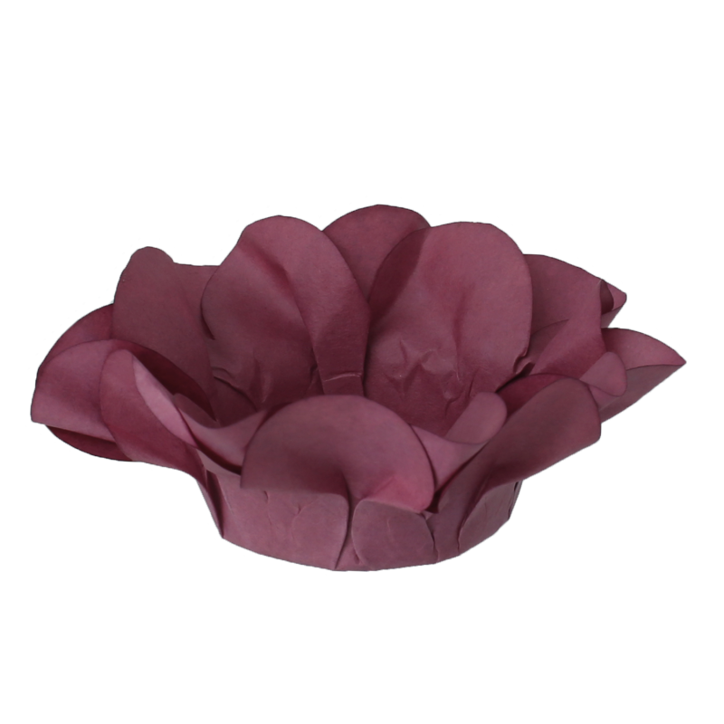 30 Forminhas Açucena Marsala