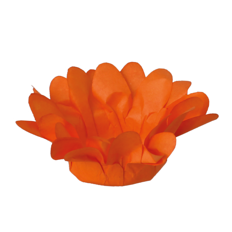 30 Forminhas Margaridinha Laranja