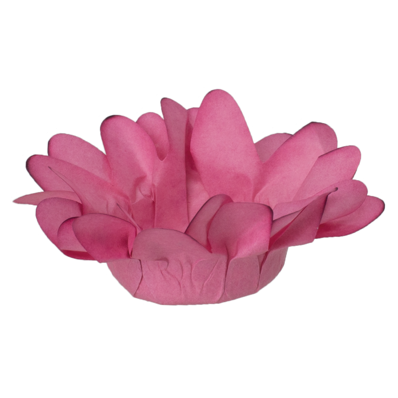 30 Forminhas Margaridinha Rosa Antigo