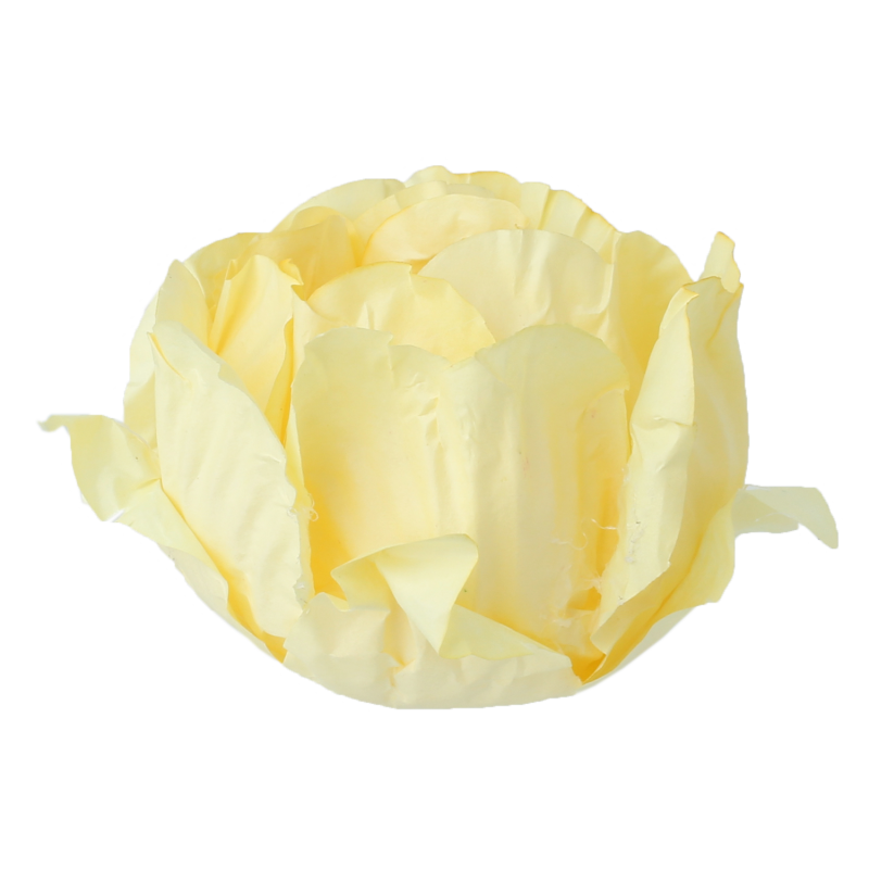 30 Forminhas Cravo Amarelo Bebé