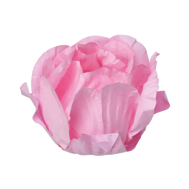 30 Forminhas Cravo Rosa Bebé