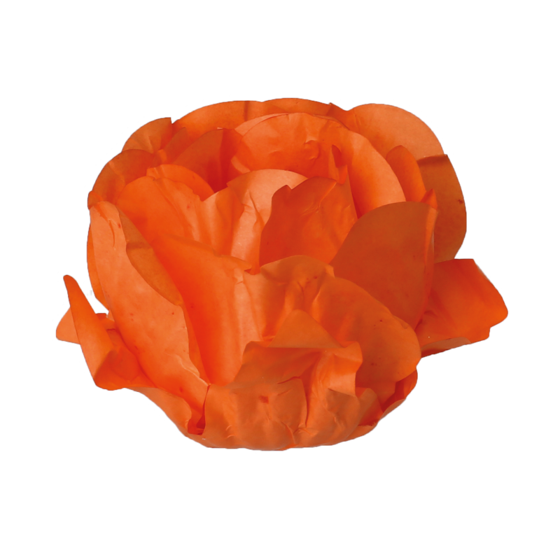 30 Forminhas Cravo Laranja