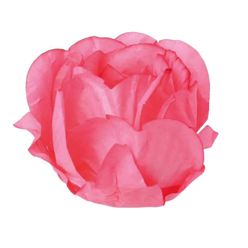 30 Forminhas Cravo Rosa Escuro