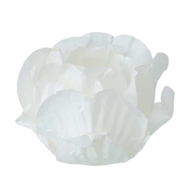 30 Forminhas Cravo Branco