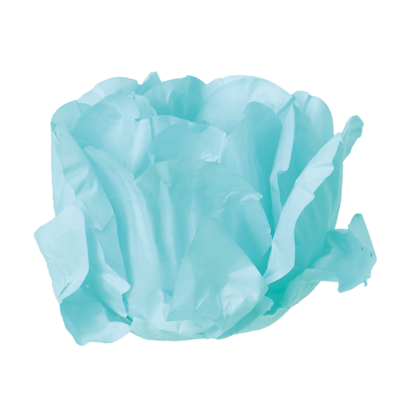 30 Forminhas Cravo Caribe