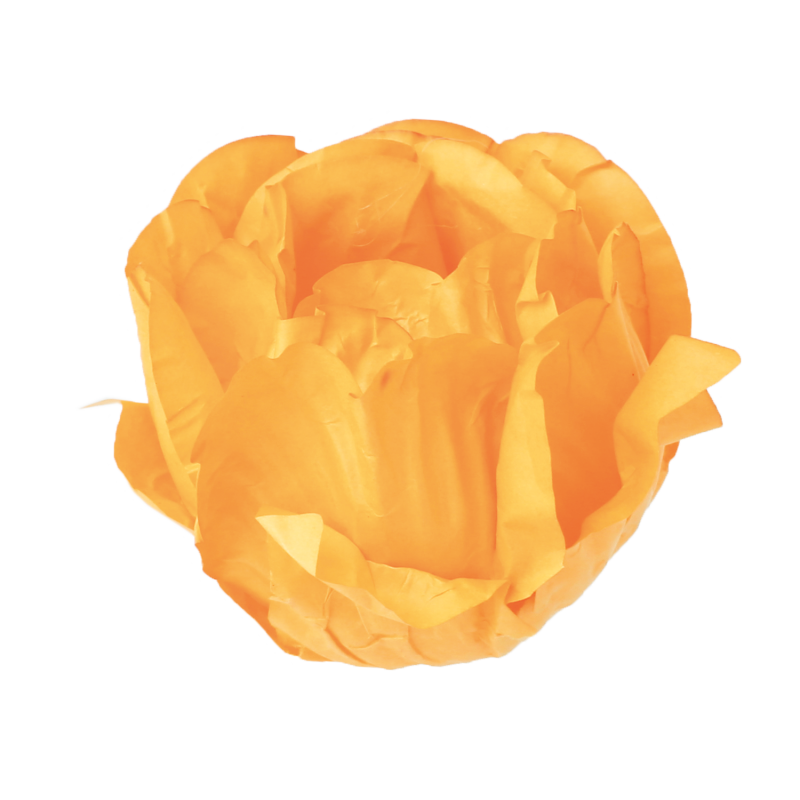 30 Forminhas Cravo Amarelo Gema