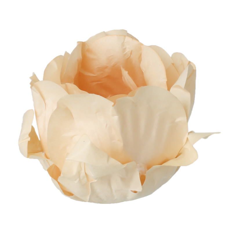 30 Forminhas Cravo Marfim