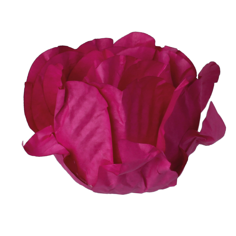 30 Forminhas Cravo Pink