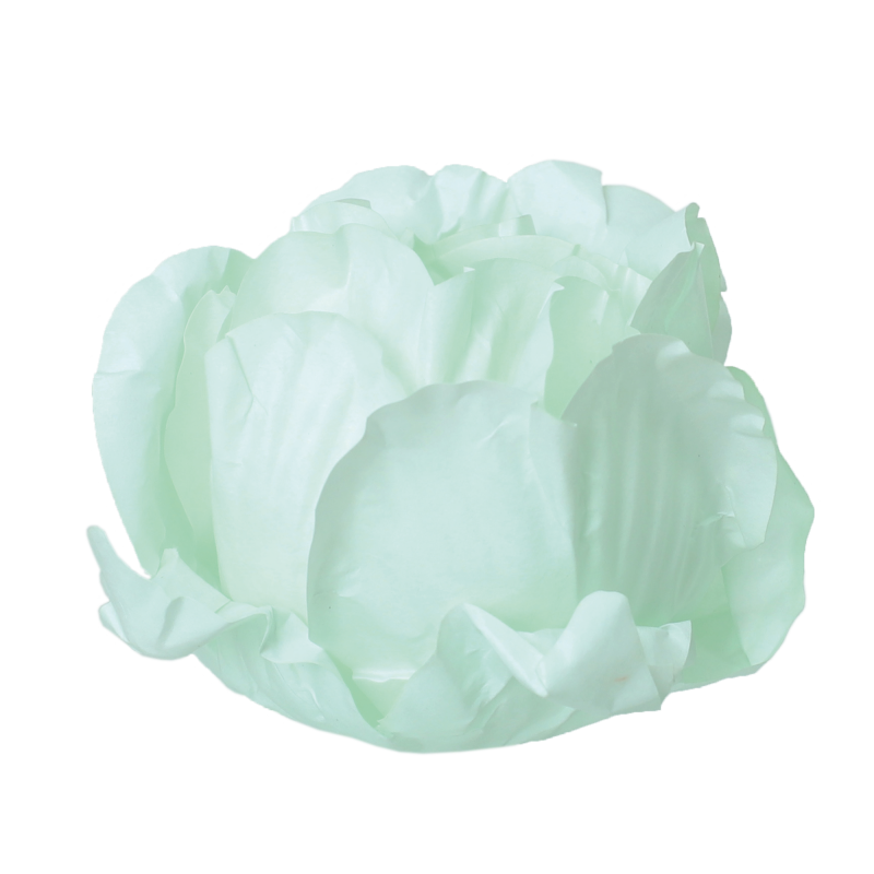 30 Forminhas Cravo Verde Chá