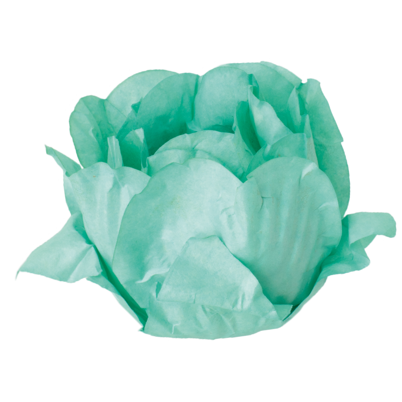 30 Forminhas Cravo Verde Bebé