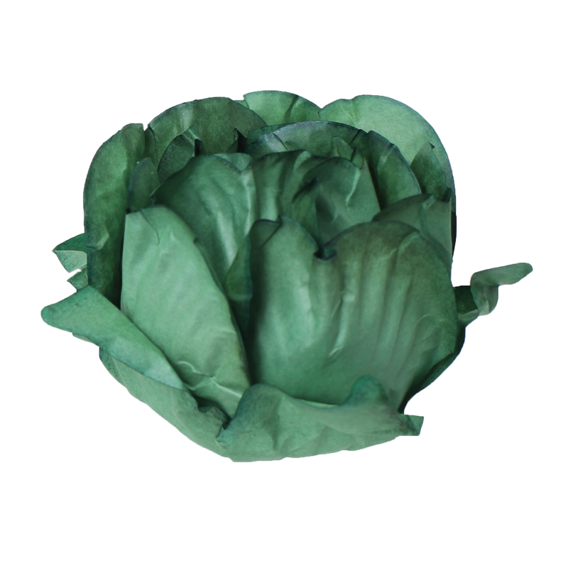 30 Forminhas Cravo Verde Musgo