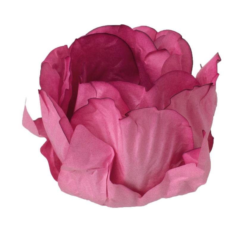 30 Forminhas Cravo Rosa Antigo