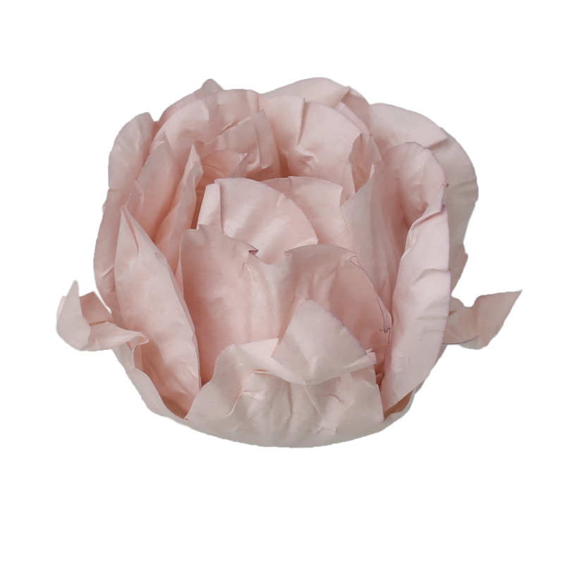 30 Forminhas Cravo Fendi