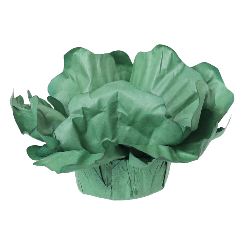 24 Forminhas Hibisco Verde Musgo