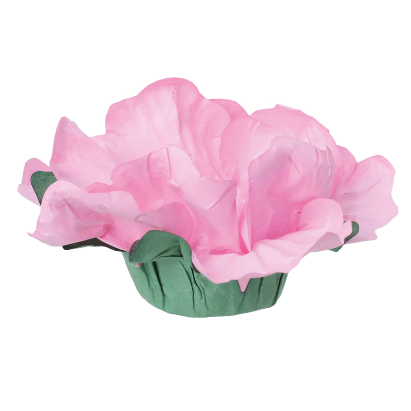 24 Forminhas Hibisco Rosa Bebé