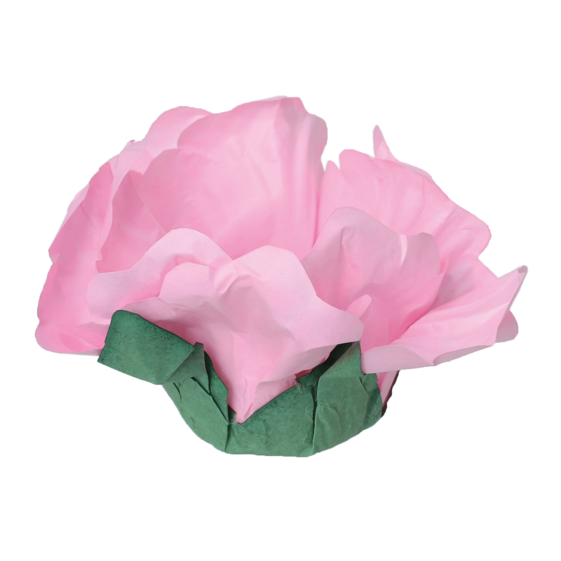 24 Forminhas Hibisco Rosa Claro