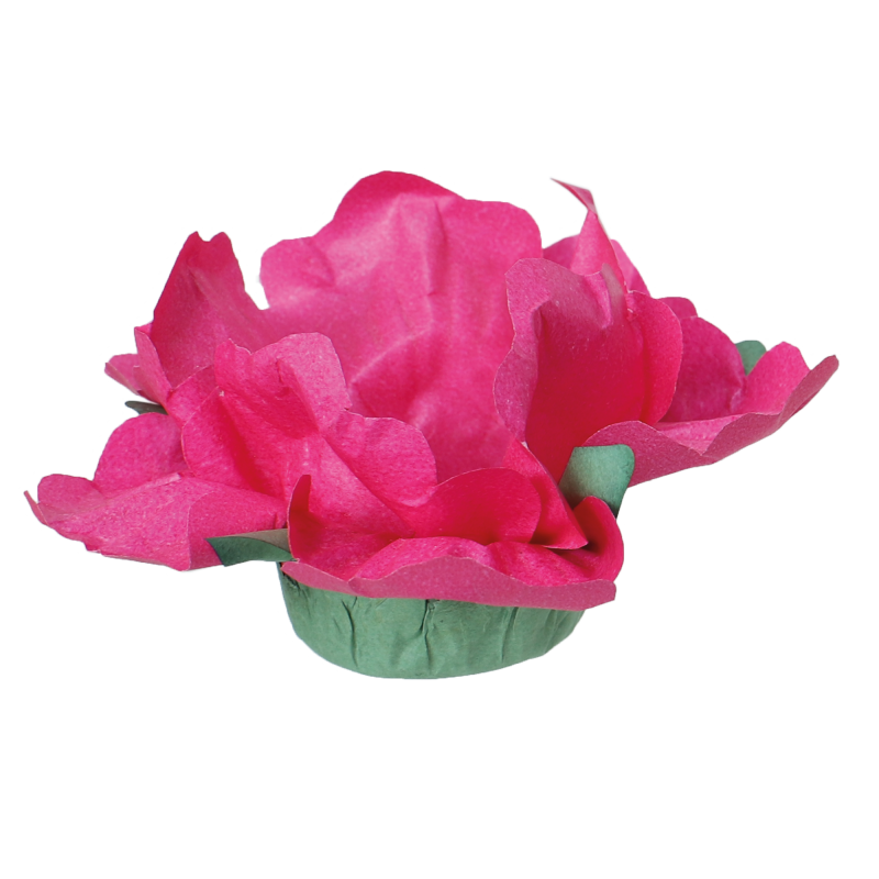 24 Forminhas Hibisco Pink