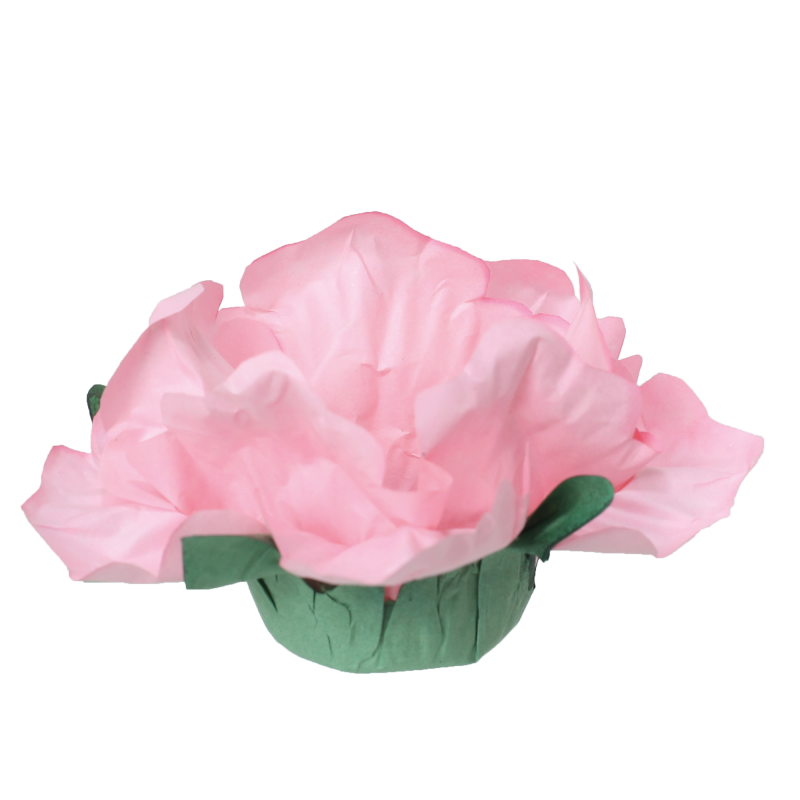 24 Forminhas Hibisco Flamingo