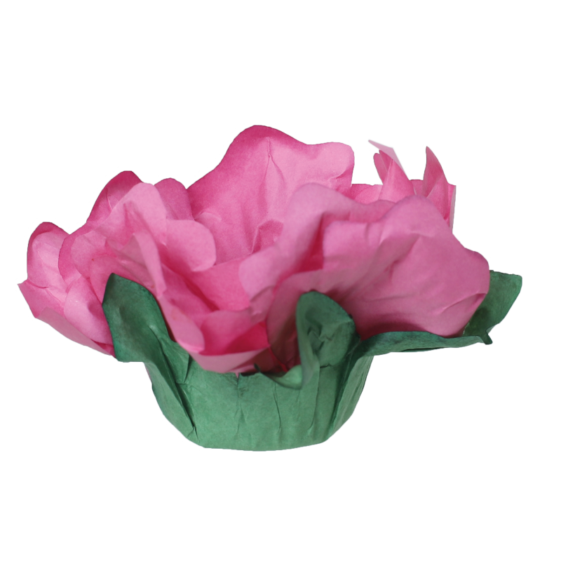 24 Forminhas Hibisco Rosa Antigo