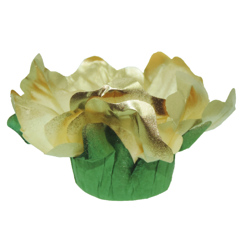 24 Forminhas Hibisco Imperatriz