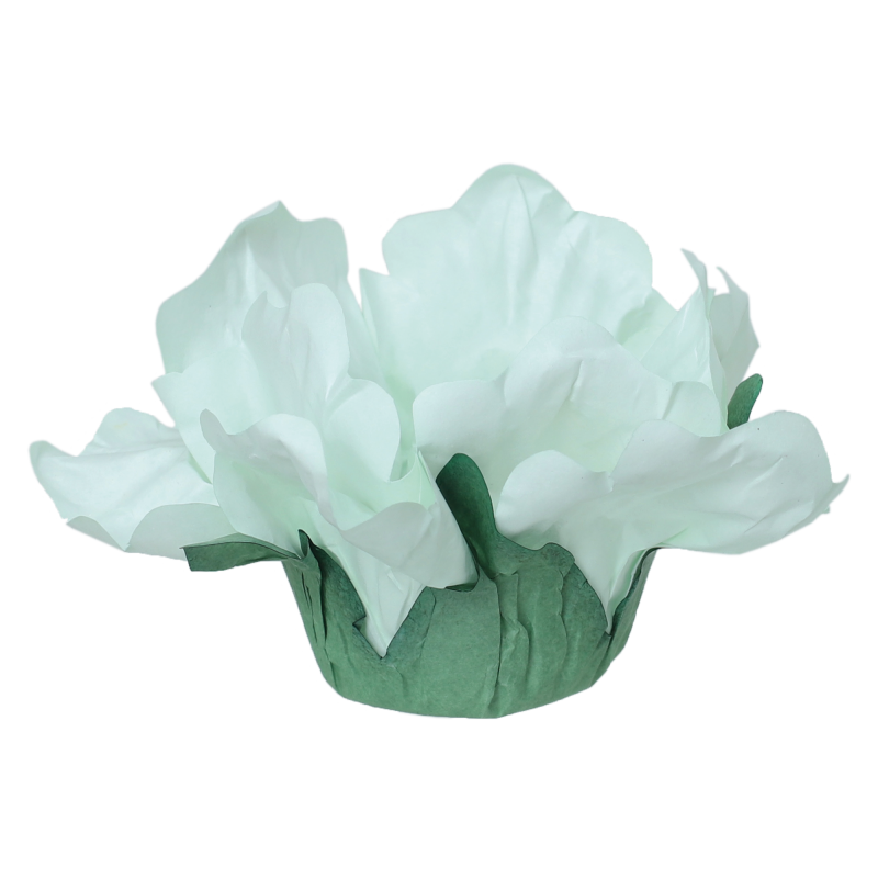 24 Forminhas Hibisco Verde Chá