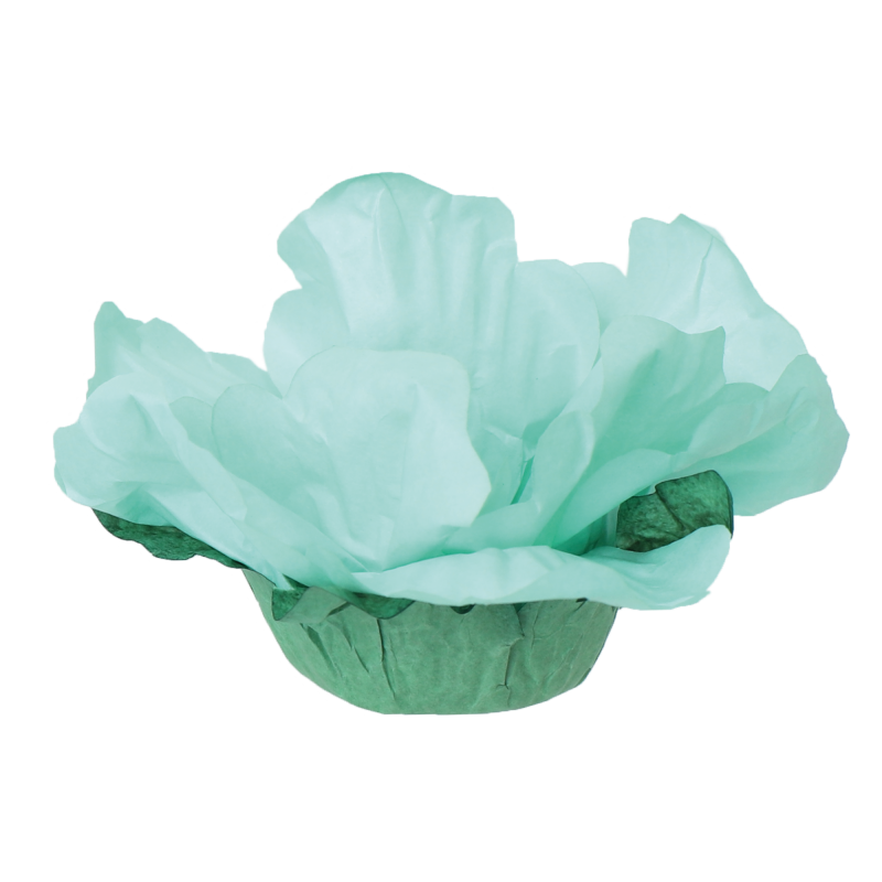 24 Forminhas Hibisco Verde Bebé