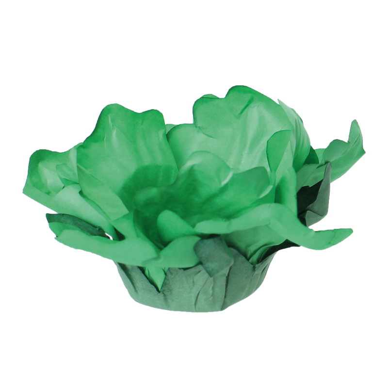 24 Forminhas Hibisco Verde Folha