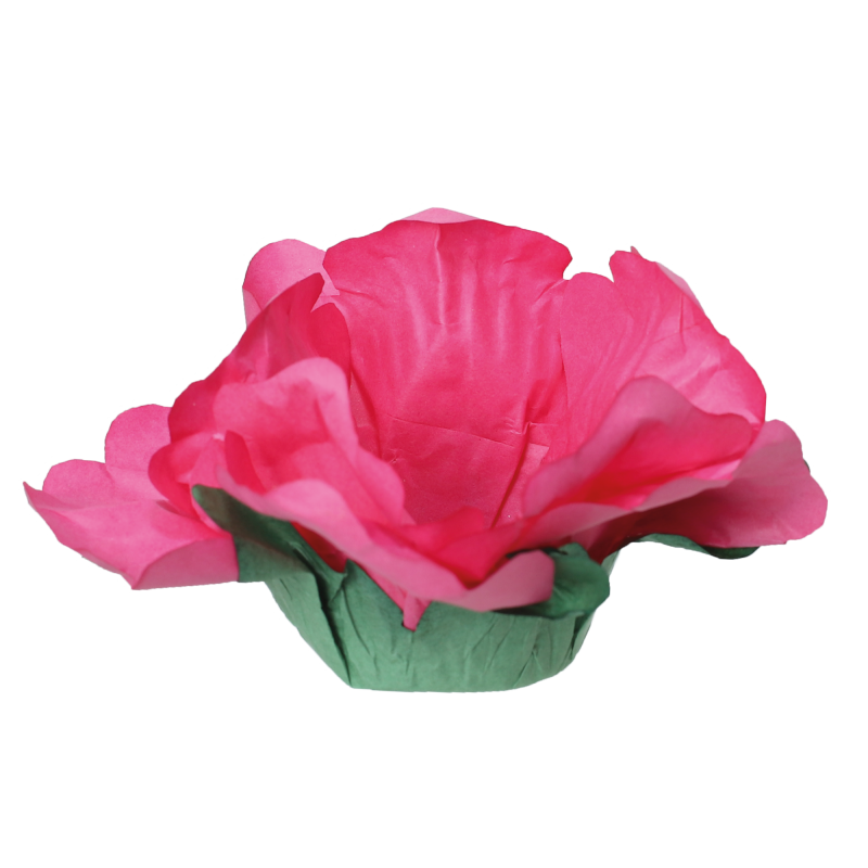 24 Forminhas Hibisco Rosa Escuro