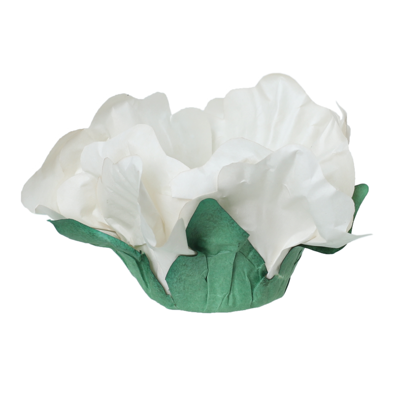 24 Forminhas Hibisco Off White