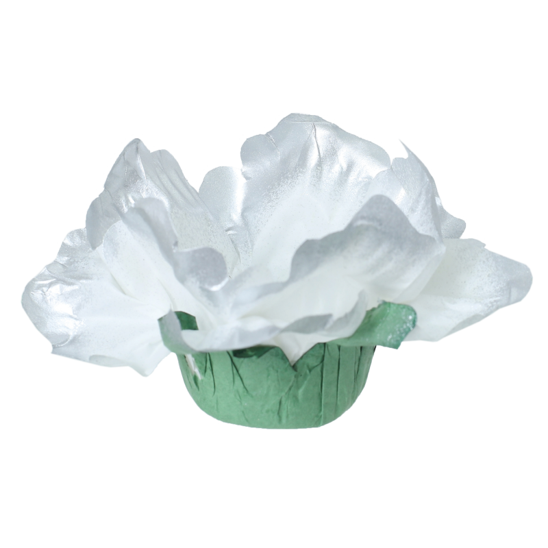 24 Forminhas Hibisco Platina