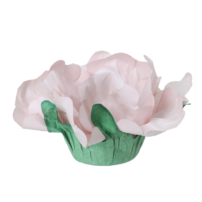 24 Forminhas Hibisco Fendi