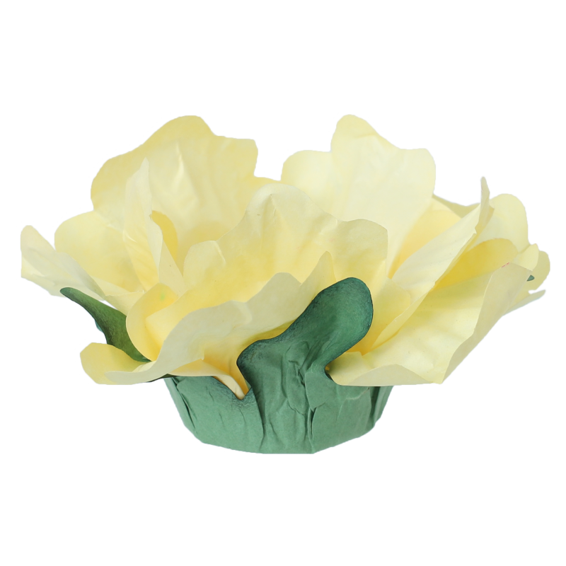 24 Forminhas Hibisco Amarelo Bebé