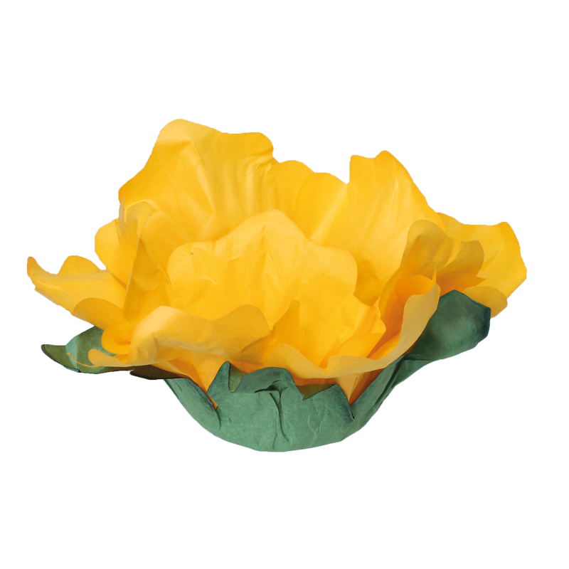 24 Forminhas Hibisco Amarelo Gema