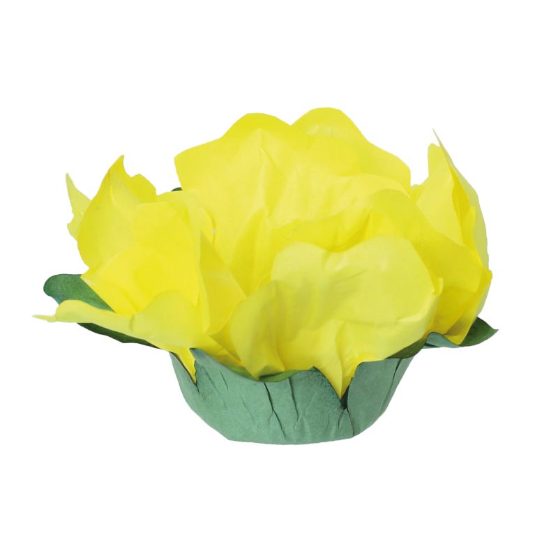 24 Forminhas Hibisco Amarelo Ouro